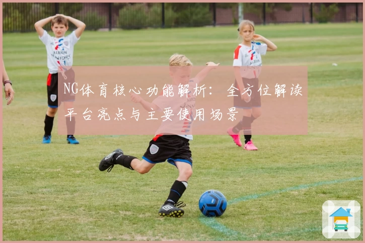 NG体育核心功能解析：全方位解读平台亮点与主要使用场景